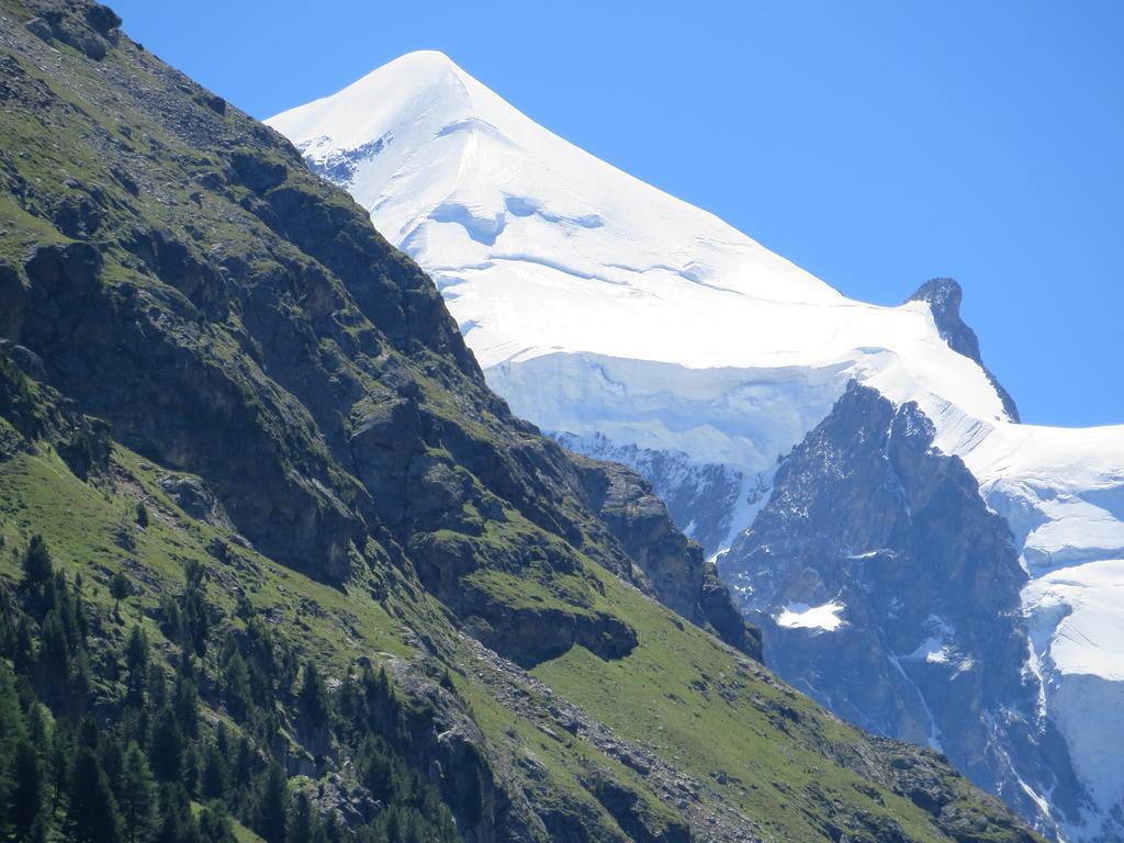 Roncaiola Tirano